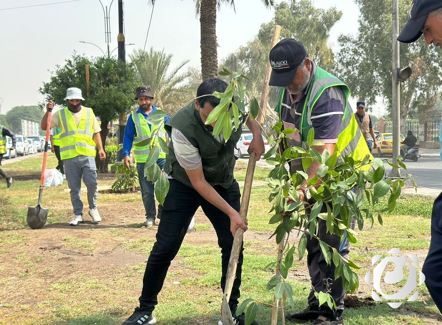 البصرة: جهود عراقية لمكافحة التصحر وتعزيز التشجير