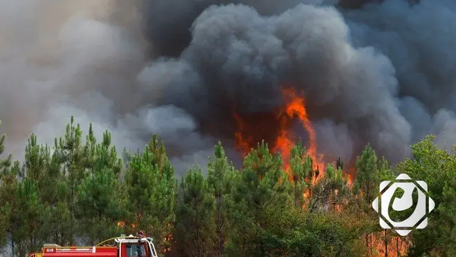 البرتغال تحذر من خطر حرائق الغابات بسبب موجة حر شديدة