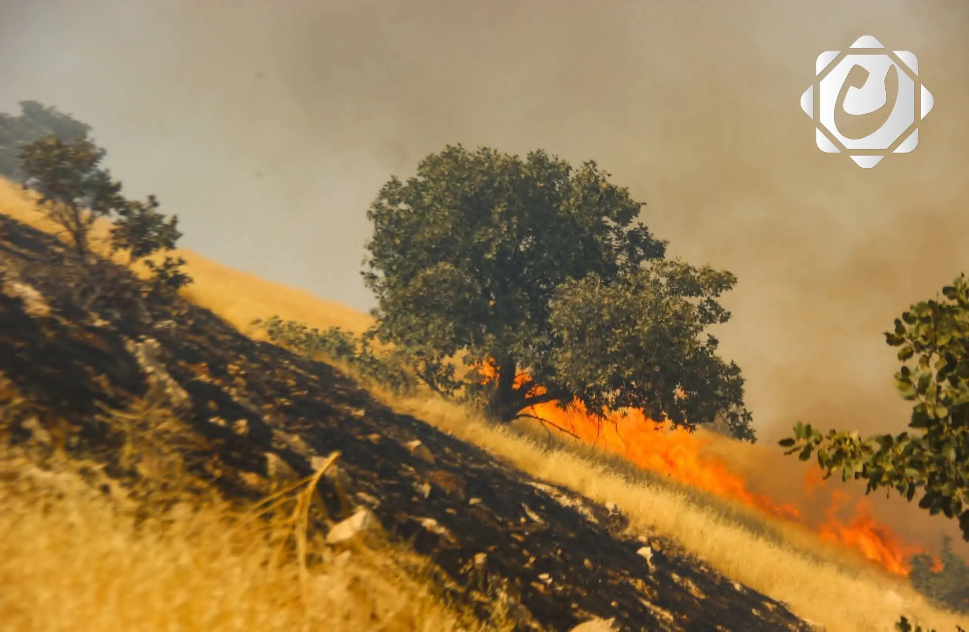 تعازي رئاسة الجمهورية لضحايا حريق غابات حلبجة