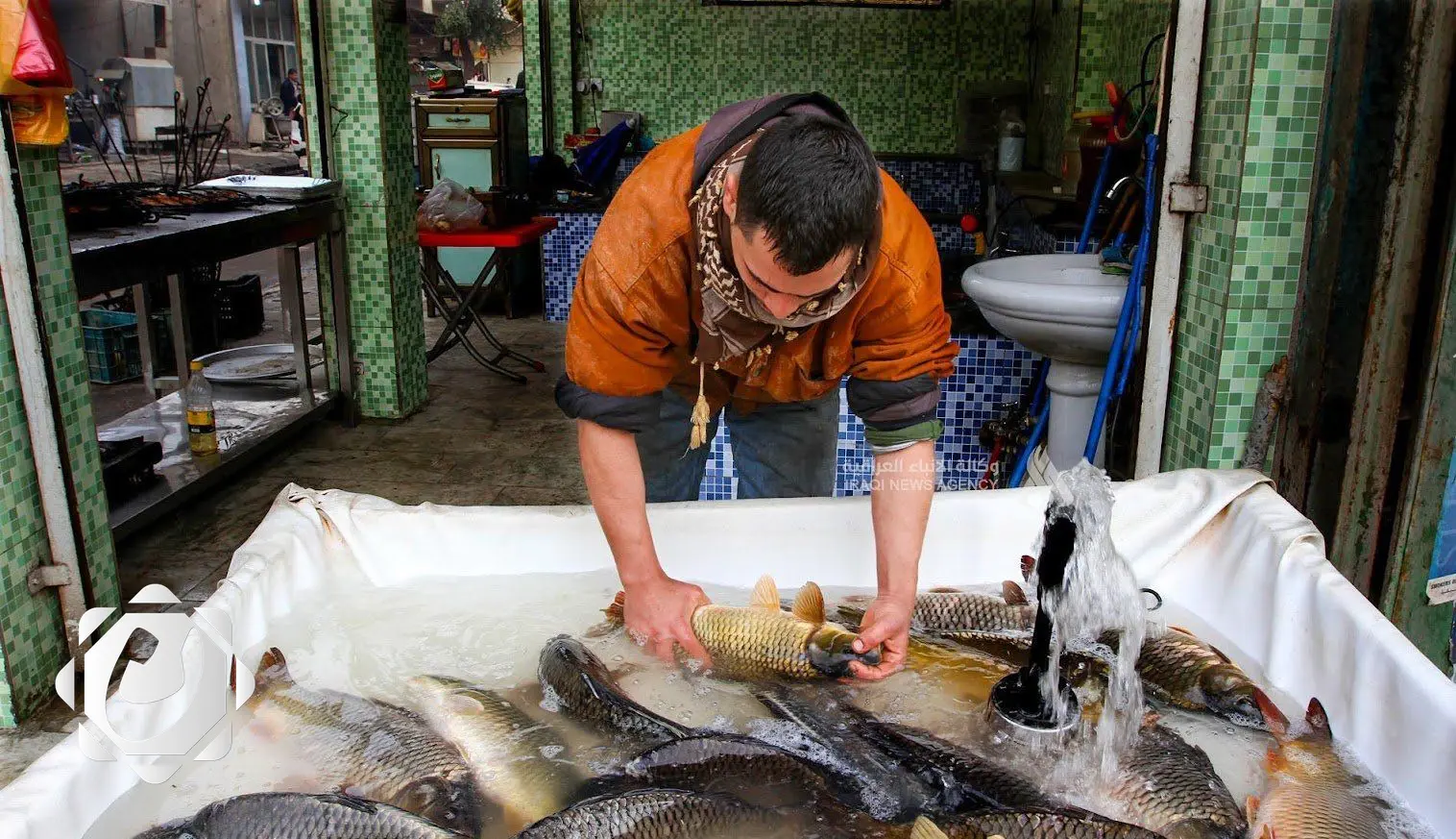 الزراعة: تحقيق الاكتفاء من بيض المائدة وإنتاج السمك يصل إلى 100 ألف طن سنوياً