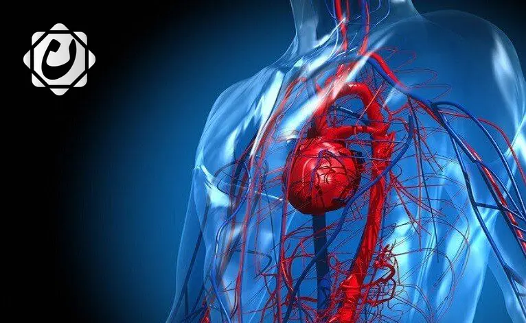 ابتكار رقعة ثلاثية الأبعاد لعلاج مشاكل القلب