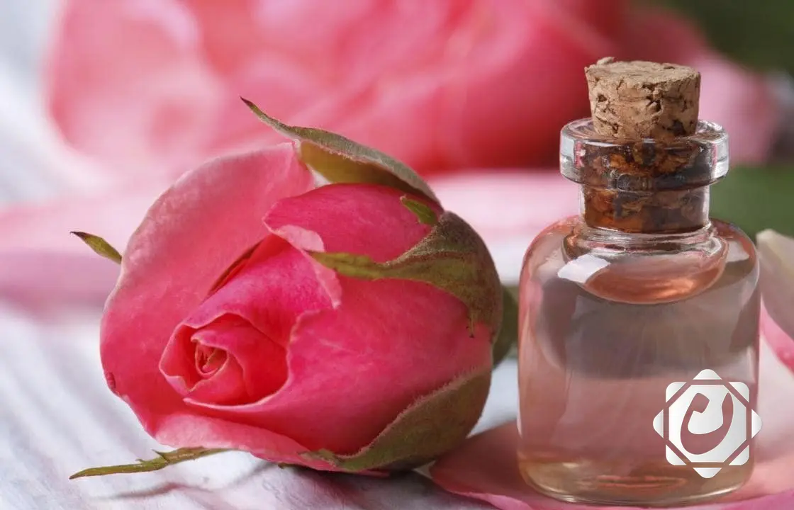 دراسة يابانية: استنشاق روائح الورد يعزز الذاكرة ويقي من الخرف