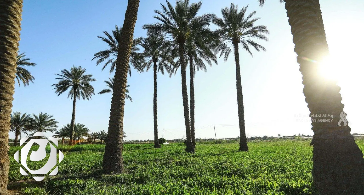 الهيئة الوطنية للاستثمار تعلن عن 97 فرصة استثمارية في القطاع الزراعي