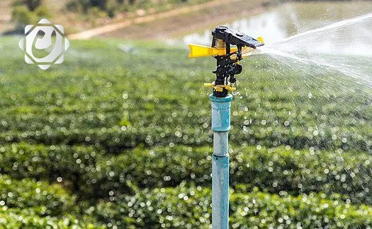 وزارة الزراعة تعلن عن مشاريع جديدة لمكافحة التصحر وتطوير آلية السقي