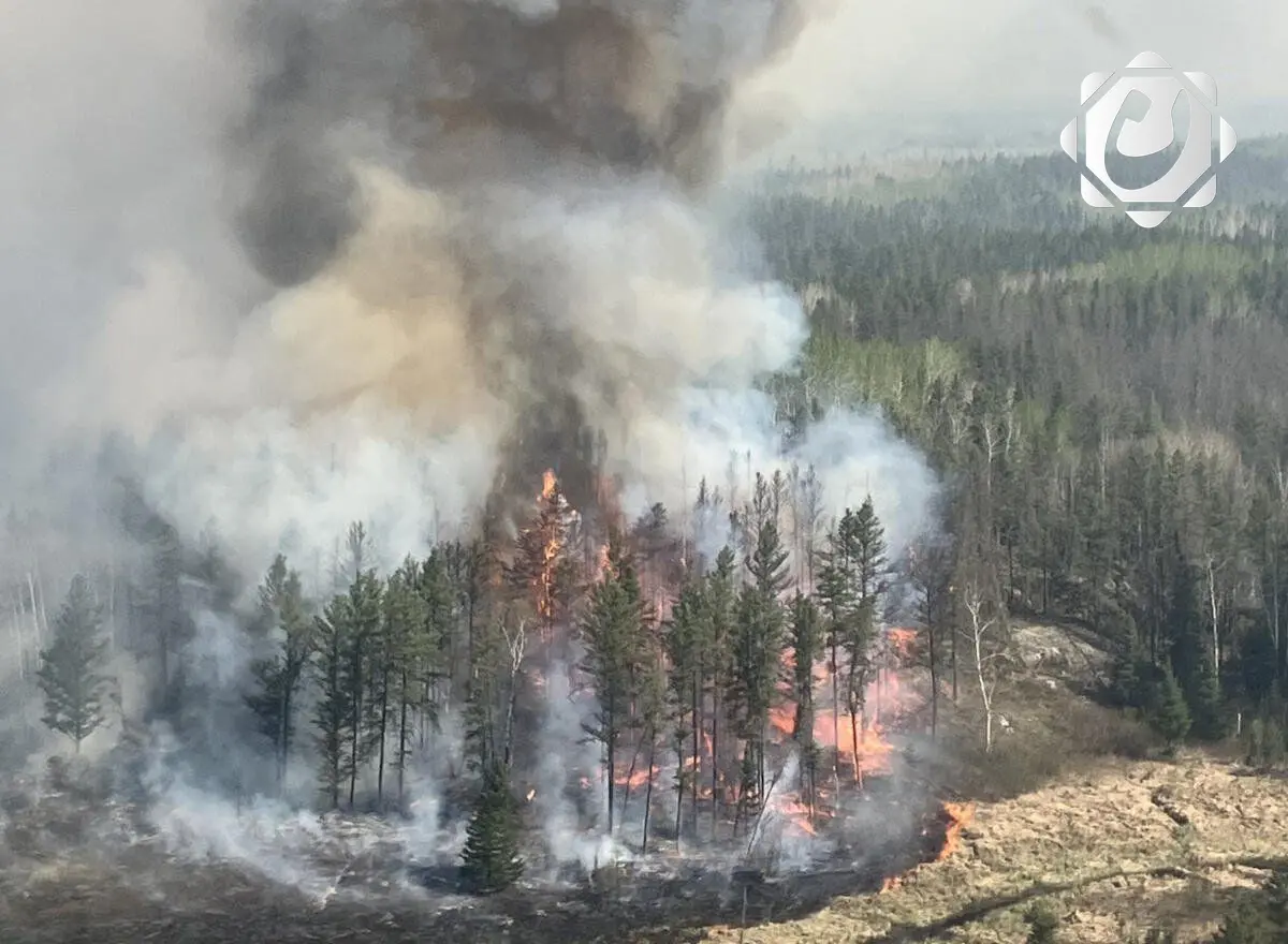 إجلاء سكان في شمال كندا بسبب حرائق الغابات