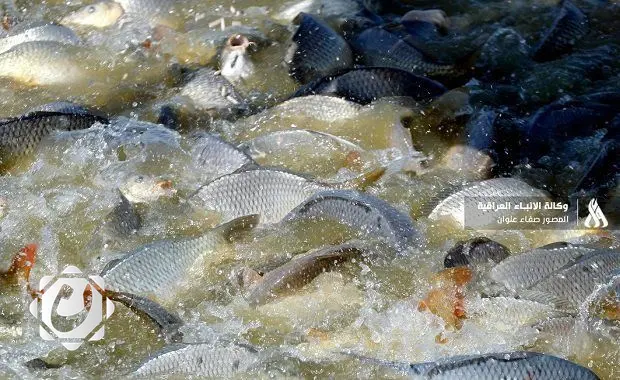 وزارة الموارد المائية تلزم أصحاب بحيرات الأسماك بالتحول إلى النظام المغلق