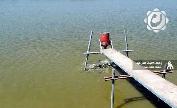 وزارة الموارد المائية: ردم البحيرات المتجاوزة يحقق توزيعًا عادلًا للحصص المائية