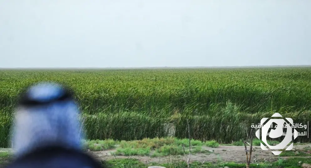 وزارة الزراعة تعلن عن قرب المصادقة على خطة الاستزراع الشتوي باستخدام أنظمة الري الحديثة