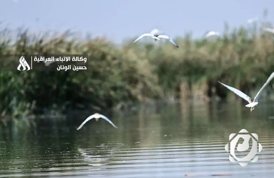 وزارة البيئة: ارتفاع عدد المحميات وتراجع الصيد الجائر بفضل الاتفاقيات الدولية