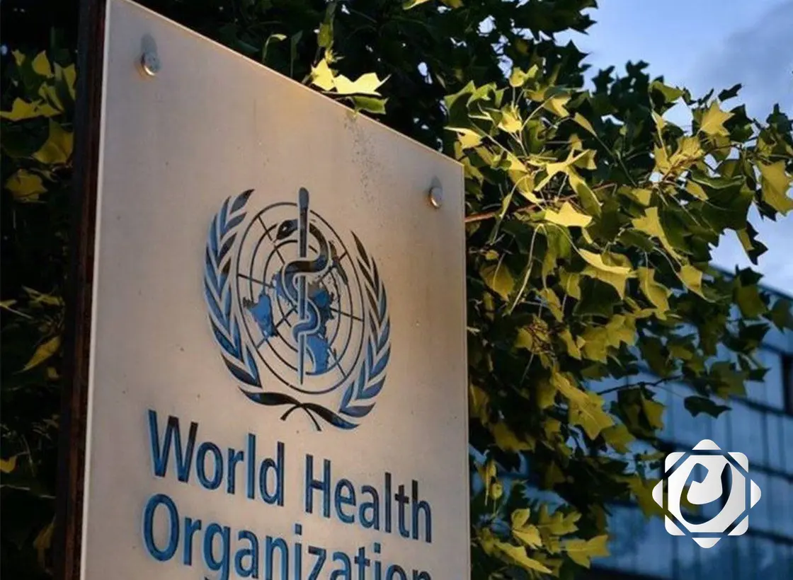 منظمة الصحة العالمية تؤكد التزامها بالبقاء في مدينة غزة