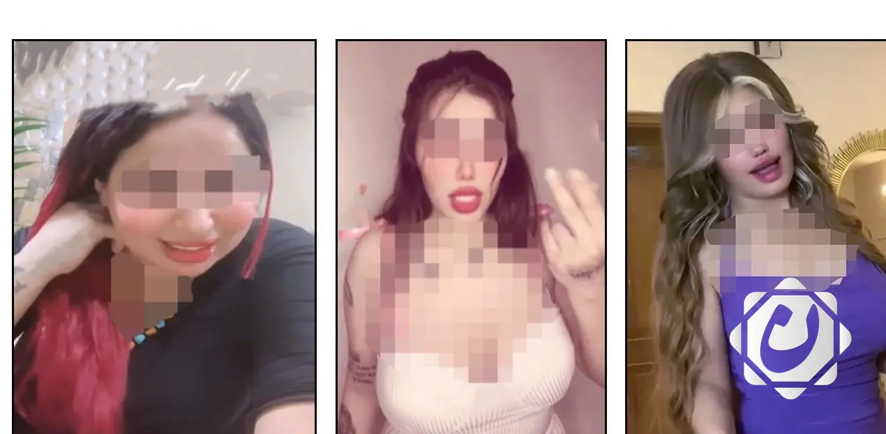 اعتقال ثلاث بلوكرات في حملة ضد المحتوى الهابط