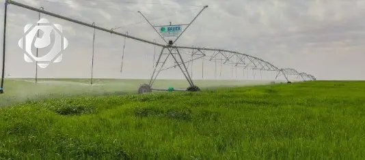 وزارة الموارد المائية تكشف عن تفاصيل خطتها الزراعية الشتوية المرتكزة على ثلاثة عوامل رئيسية