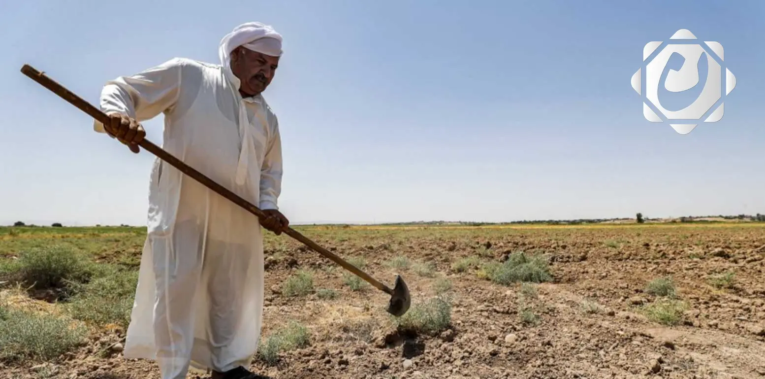التغير المناخي يؤدي إلى فقدان 50% من الأراضي الزراعية في العراق سنوياً