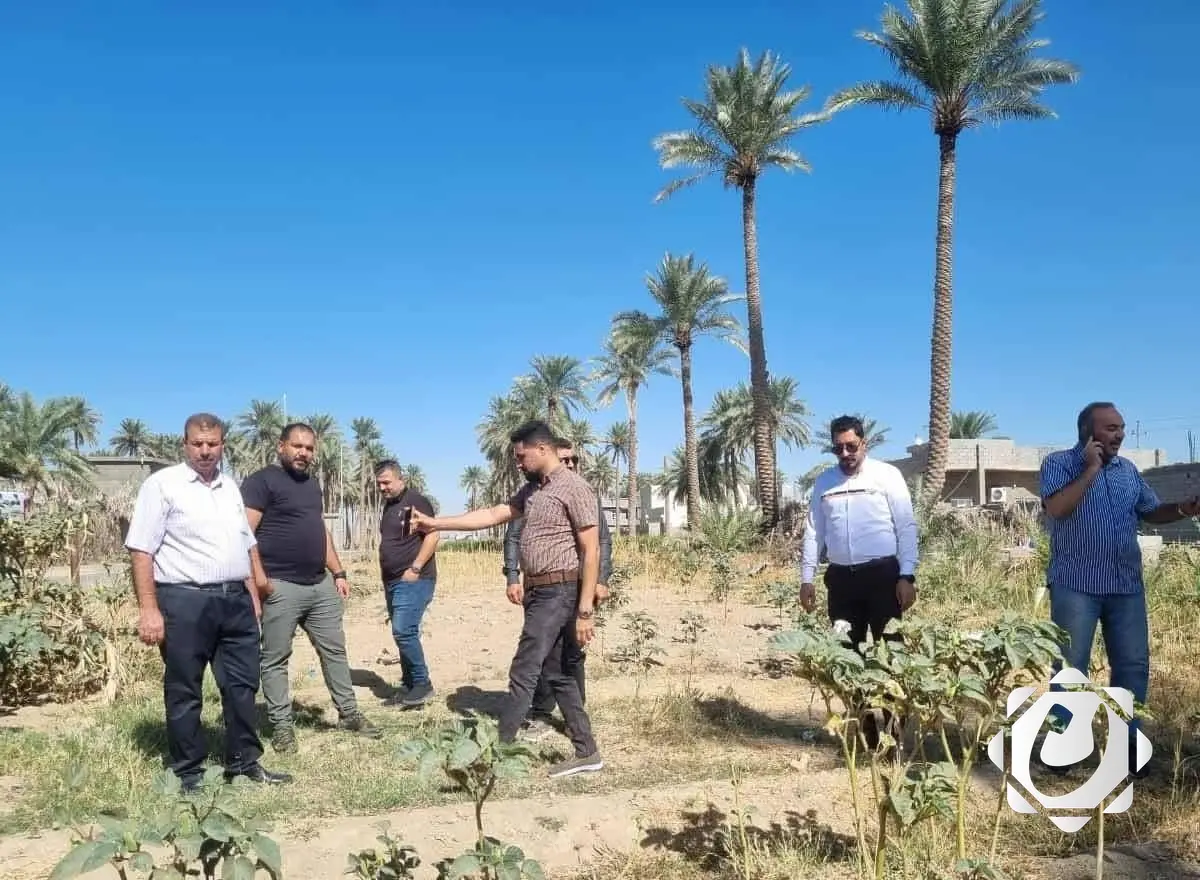 إزالة نبات الداتورا السام في الحبانية بأمر قضائي