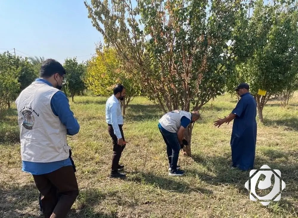 تنفيذ حملة لمكافحة الآفات الزراعية في بساتين الحمضيات بالأنبار