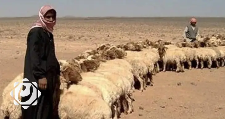 فتح تحقيق في استشهاد رعاة أغنام في الأنبار