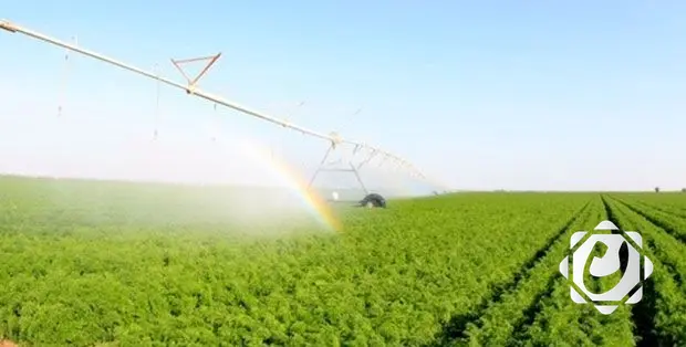 وزارة الزراعة تبدأ فرز الأراضي للمهندسين الزراعيين