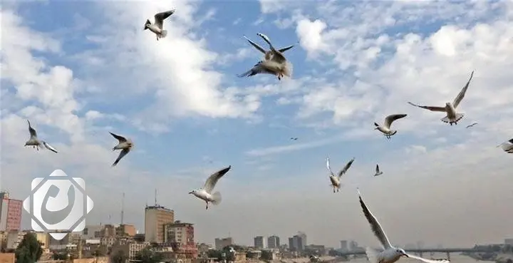 توقعات الطقس في العراق: أجواء صحوة وانخفاض في درجات الحرارة