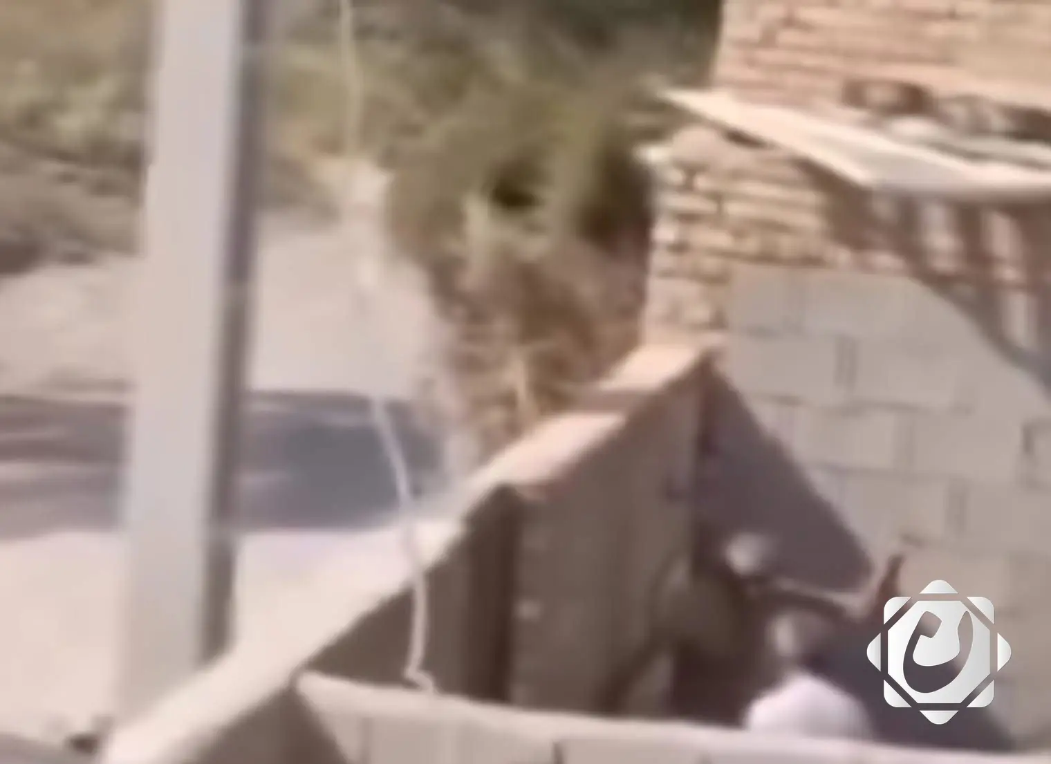 وزارة الداخلية توضح بشأن فيديو يظهر شخصًا يعنف والده: ليس داخل العراق