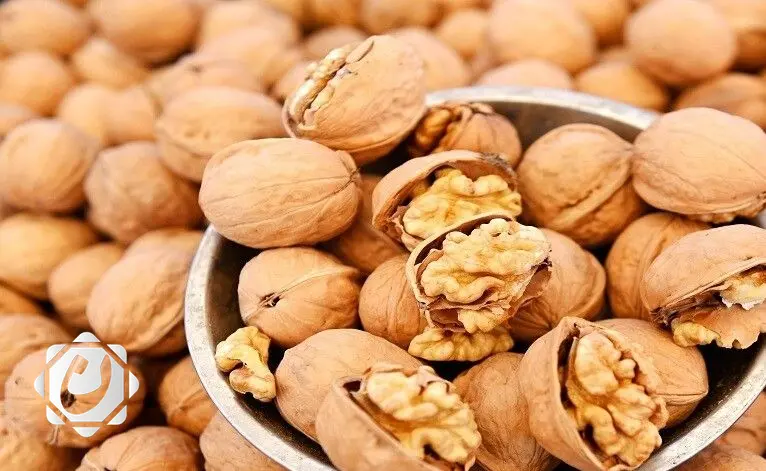 خمسة فوائد للجوز تعزز نمط حياة صحي