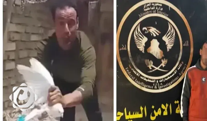 القبض على شخص بتهمة إيذاء الحيوانات ونشر محتوى مسيء