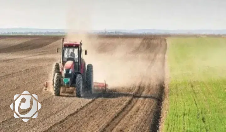 وزارة الزراعة تعلن عن خطتها الشتوية لزراعة 450 ألف دونم في صحراء الأنبار