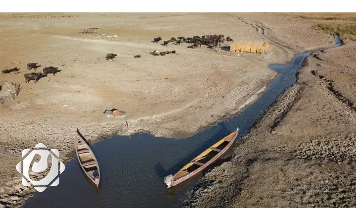 مرصد العراق الأخضر: تحديات الجفاف تواجه الحكومة المقبلة