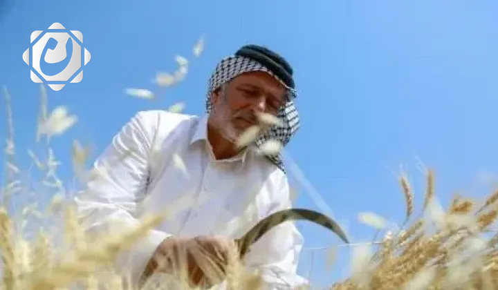 وزارة المالية تعلن عن تمويل الدفعة السابعة من مستحقات الفلاحين