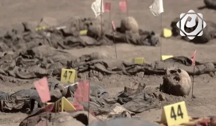 إصدار أكثر من 70 وثيقة لتحديد هويات ضحايا مقبرة بادوش