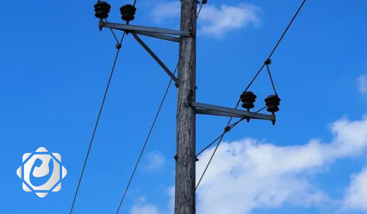 نفوق بقرتين بسبب صعقة كهربائية في ميسان