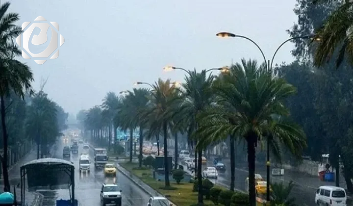 توقعات الطقس: أمطار رعدية وضباب في عدة مناطق