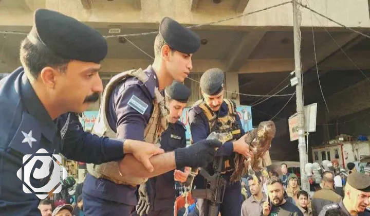 وزارة البيئة تطلق حملة لمصادرة الطيور والحيوانات المهددة بالانقراض