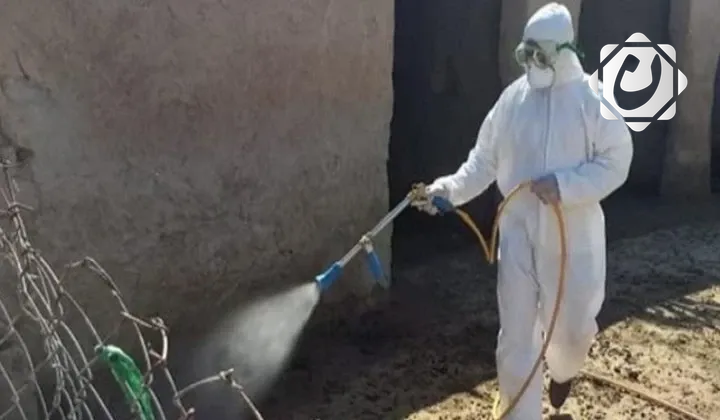 وزارة الزراعة تعتمد تقنية حديثة لمكافحة الحمى النزفية