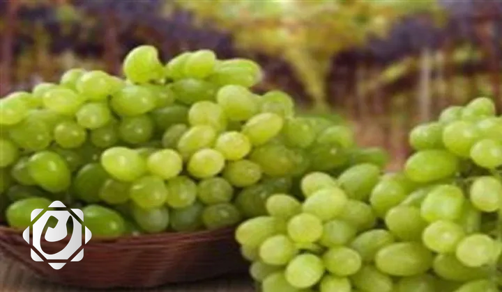 فوائد العنب الأخضر للصحة: دعم القلب ومساعد في فقدان الوزن
