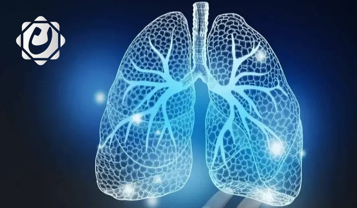 فريق طبي ينجح في تطوير نموذج مصغر للرئة البشرية