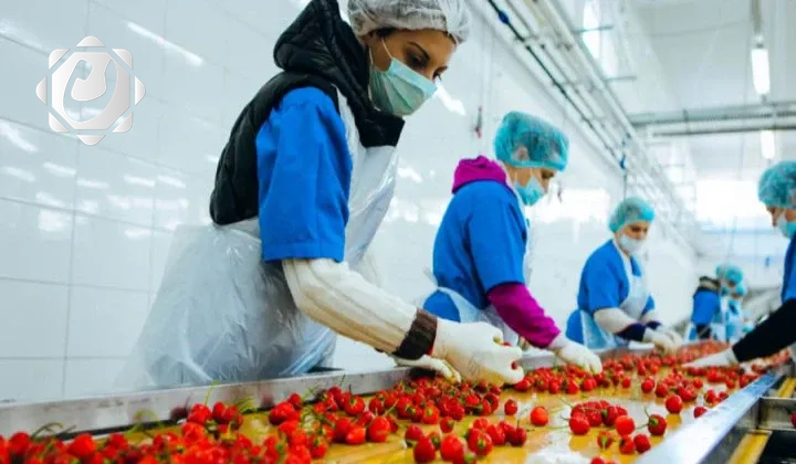 العراق يحتل المرتبة السابعة في استيراد الصناعات الغذائية المصرية لعام 2025