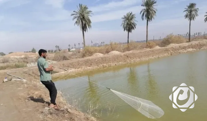 وزارة البيئة تعلن تراجع الصيد الجائر وتقييد تداول الطيور النادرة