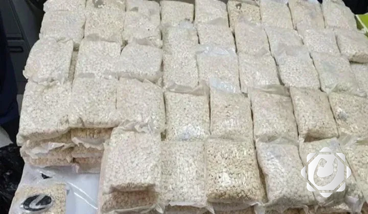 إتلاف كميات كبيرة من المواد المخدرة في إقليم كردستان