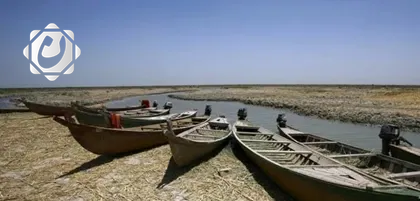 الحمامي: لا توجد مؤشرات على وصول المياه الملوثة إلى الأهوار العراقية