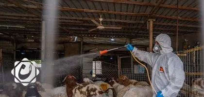 صحة ذي قار تؤكد السيطرة على الحمى النزفية وتسجيل 9 إصابات